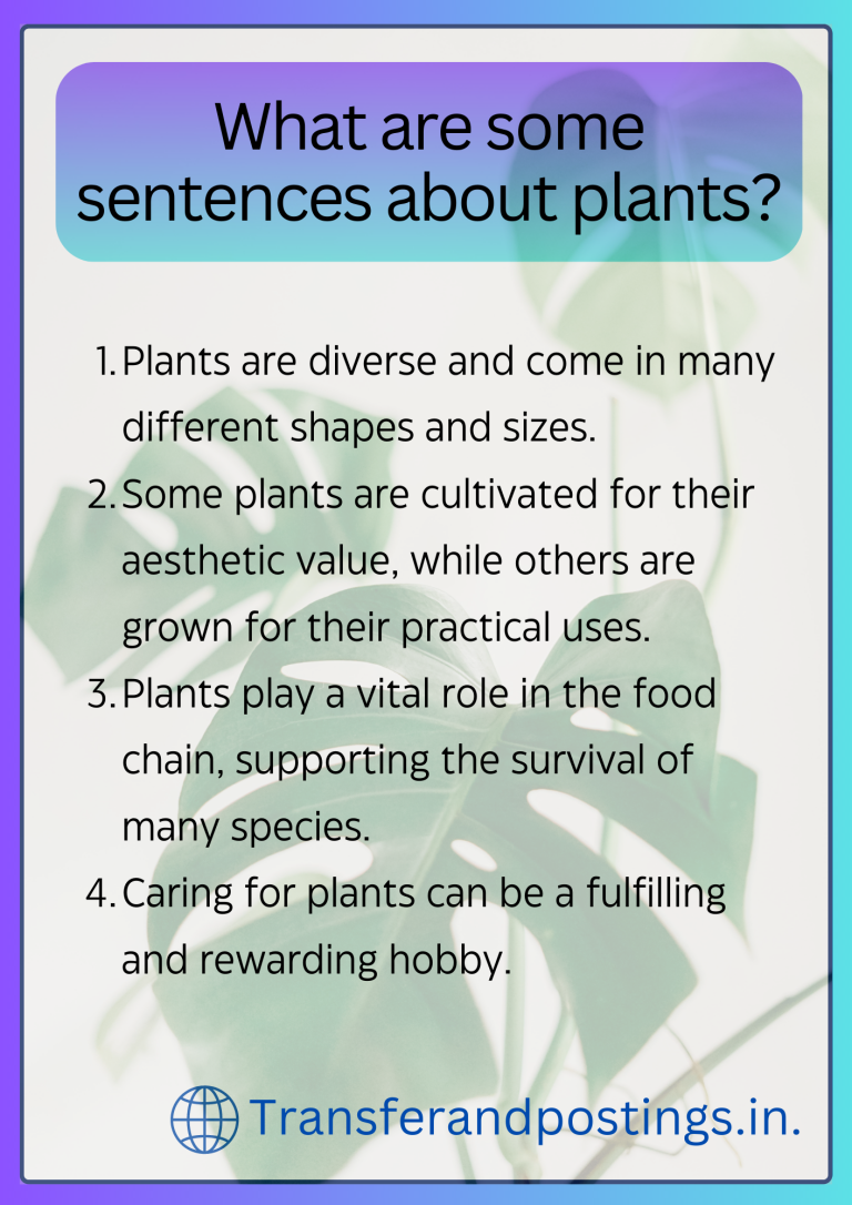 Paragraph On Plants The Importance Of Plants Transfer and Postings