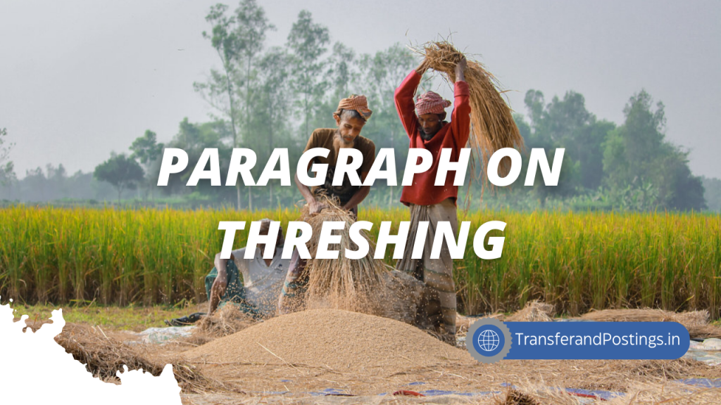 Paragraph On Threshing: A Step-By-Step Guide - Transfer and Postings