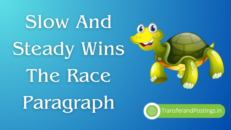 Slow And Steady Wins The Race Paragraph: The Importance Of Patience And ...